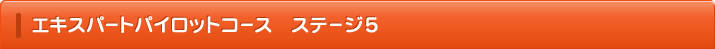 エキスパートパイロットコース ステージ5